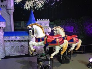 IMG_1542.jpg